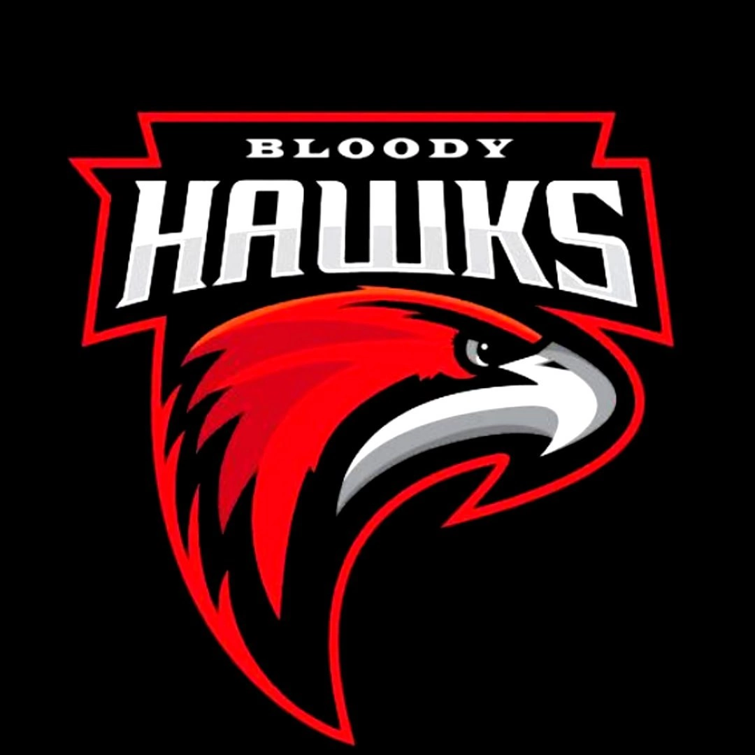 BLOODYHAWKS эмблема. Хоккей лого Hawks. Hawks vyatka лого. Логотип на джерси. Bloodyhawks ru